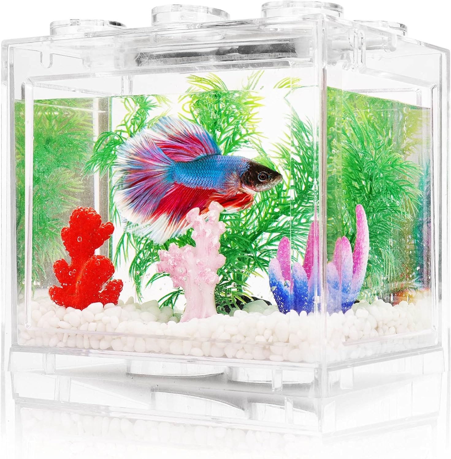 Fish Tanks Small Fish Tank, 2 Gallon Glass Aquarium Starter Kits With ...